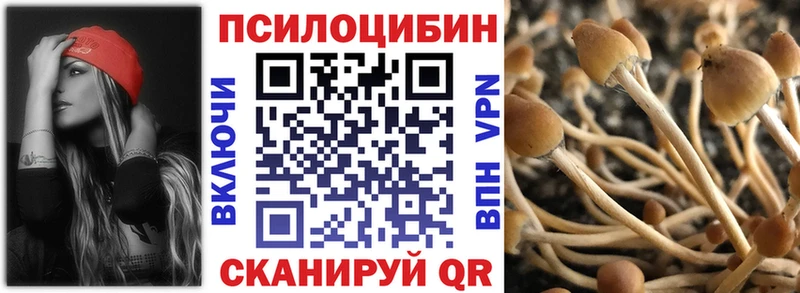 Псилоцибиновые грибы Cubensis  Новосибирск 